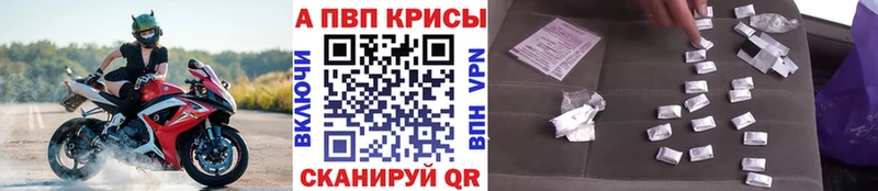 A PVP СК КРИС  Алзамай 
