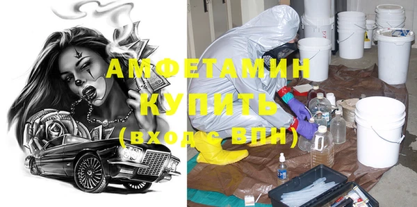 индика Алзамай