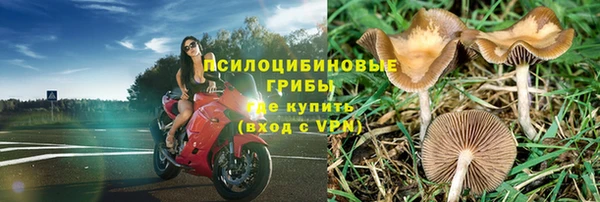 гидра Алексин