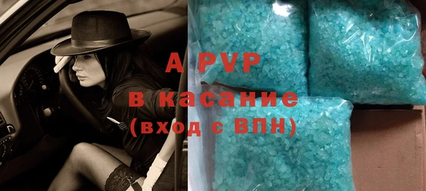 гидра Алексин