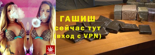 индика Алзамай
