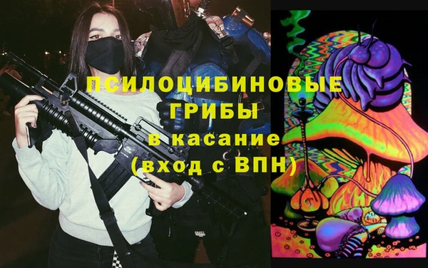 индика Алзамай